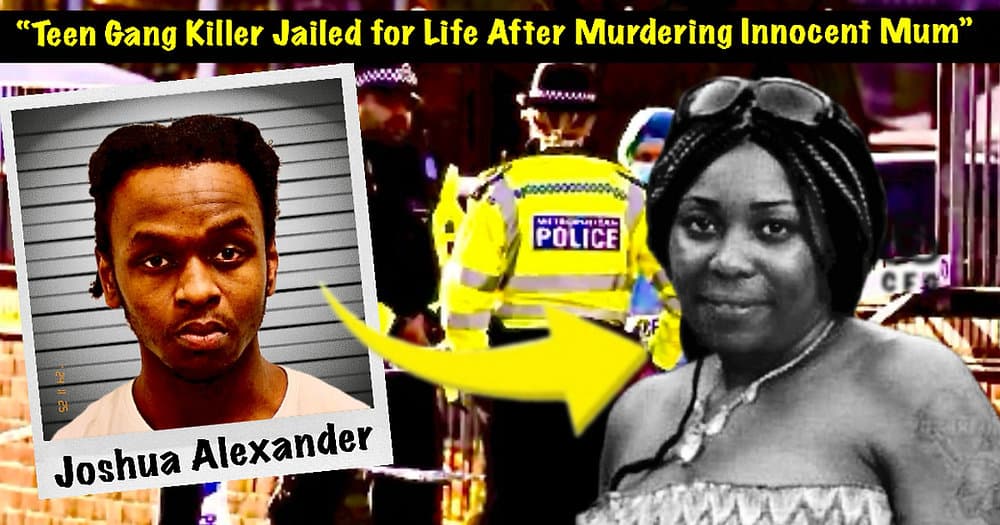 178d2eae6a7d0a2a55de3ef689db6d56564605ba 1000x525