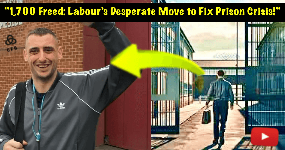 3d0aae127d9430a62edf1034768788fb08ea9fae 1000x525