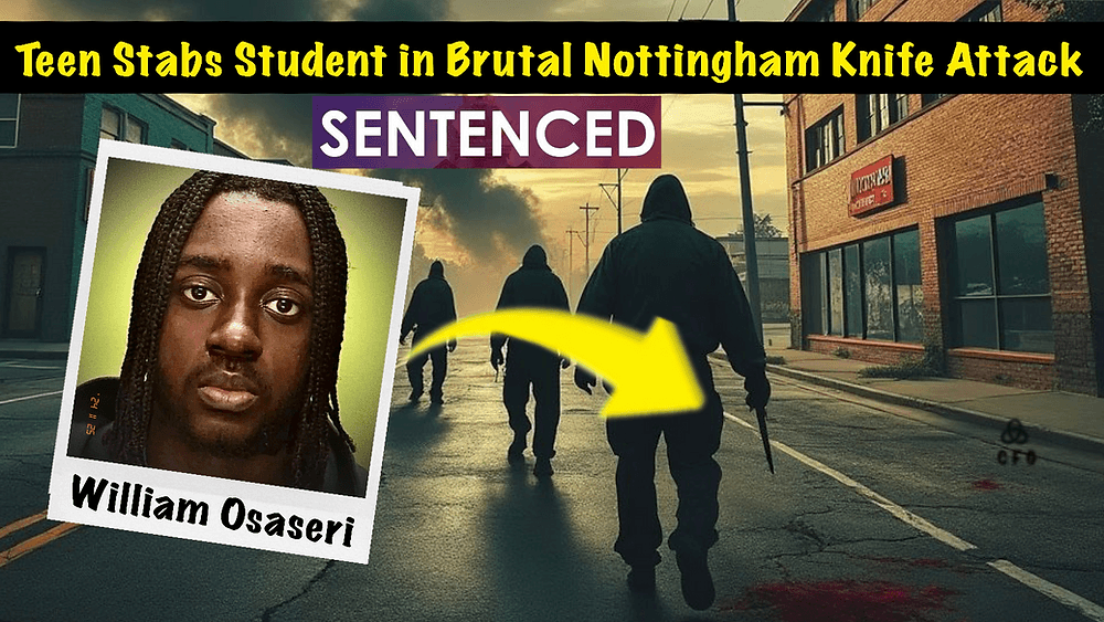 afc9751dea2356c451b49efd420129fb39c35931 1000x563