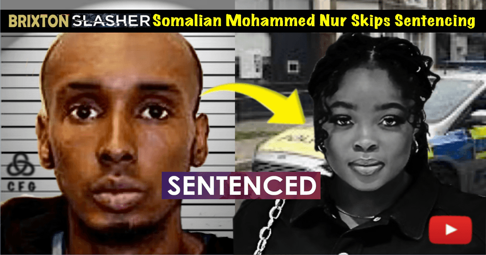 b3685d24cf5c96a030562274fa5ae0c23ac423b5 1000x525