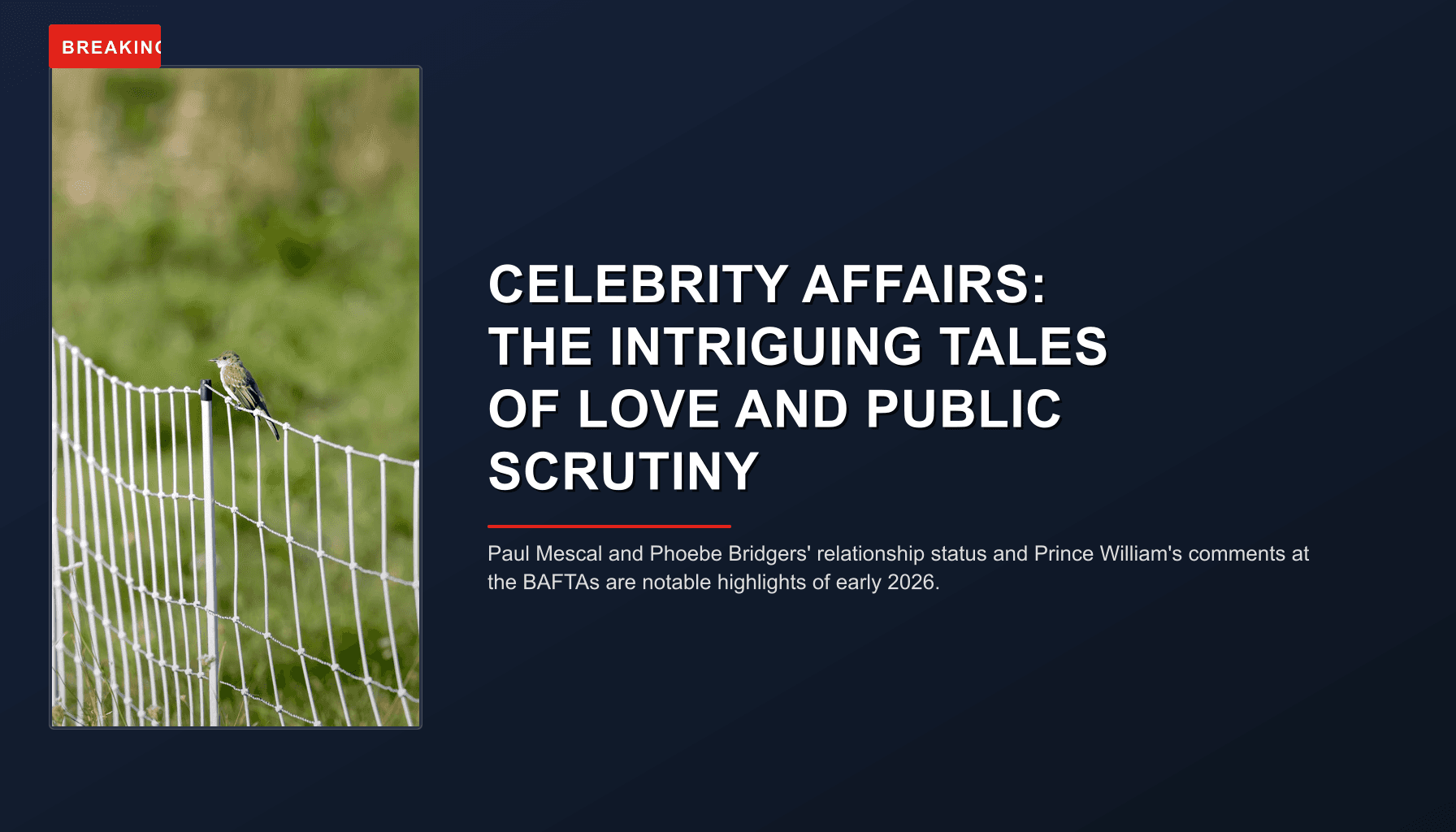 BREAKING: CELEBRITY AFFAIRS: THE INTRIGUING TALES OF LOVE AND PUBLIC SCRUTINY — VPNews
