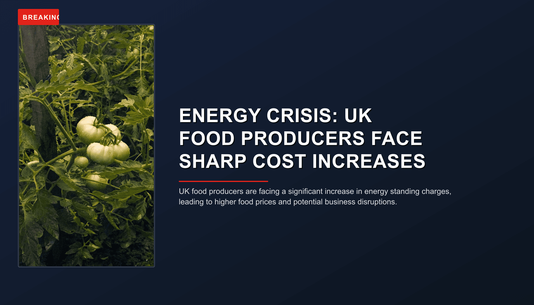 BREAKING: ENERGY CRISIS: UK FOOD PRODUCERS FACE SHARP COST INCREASES — VPNews