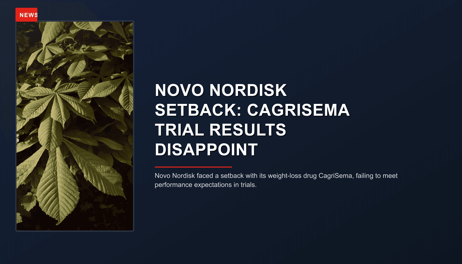 NEWS: NOVO NORDISK SETBACK: CAGRISEMA TRIAL RESULTS DISAPPOINT — VPNews