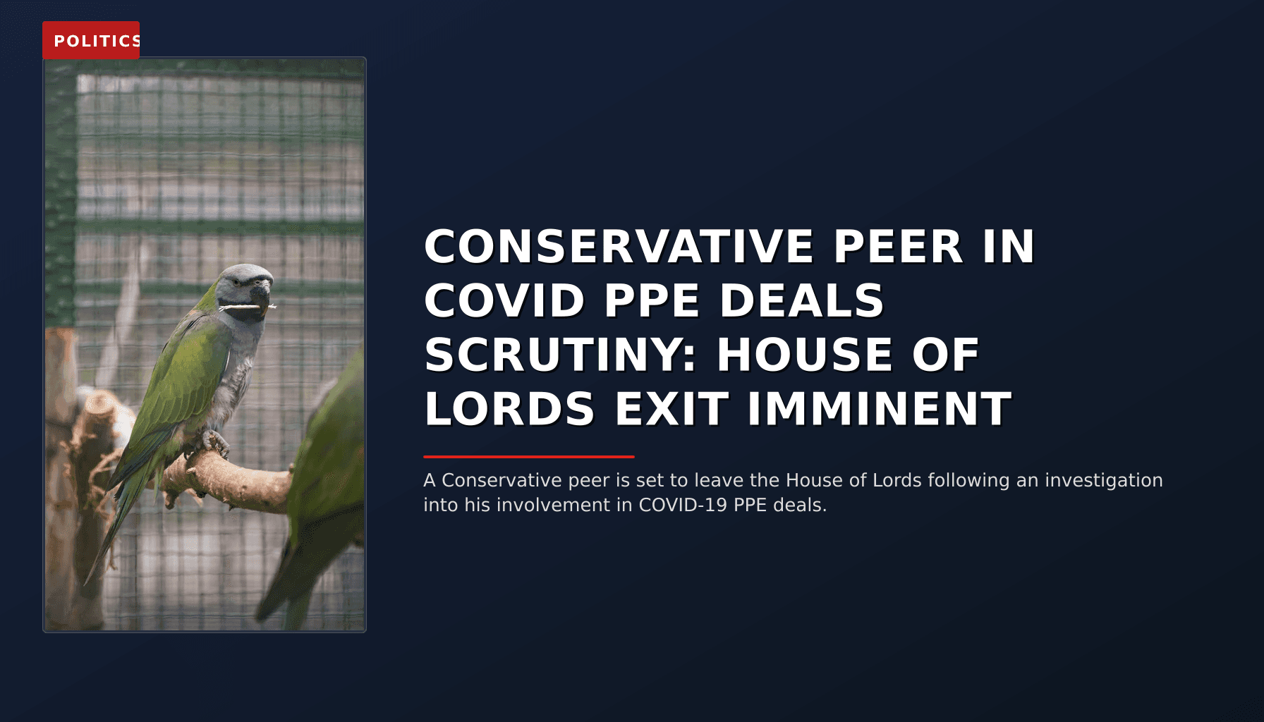 POLITICS: CONSERVATIVE PEER IN COVID PPE DEALS SCRUTINY: HOUSE OF LORDS EXIT IMMINENT — VPNews