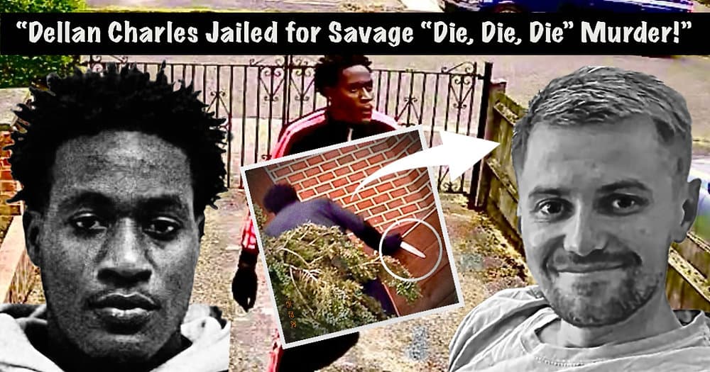 57282f7ef7e0f855e5cef41bb738900fa8720018 1000x525