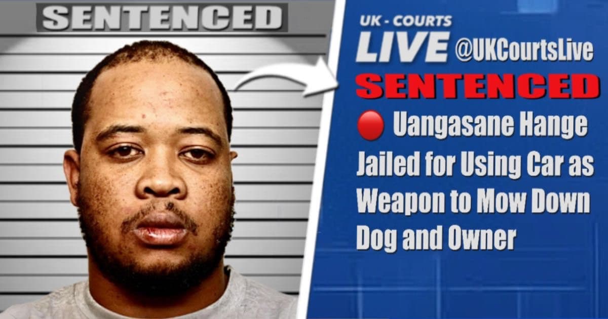 Professional Video Production News headline thumbnail featuring mugshot of perpetrator