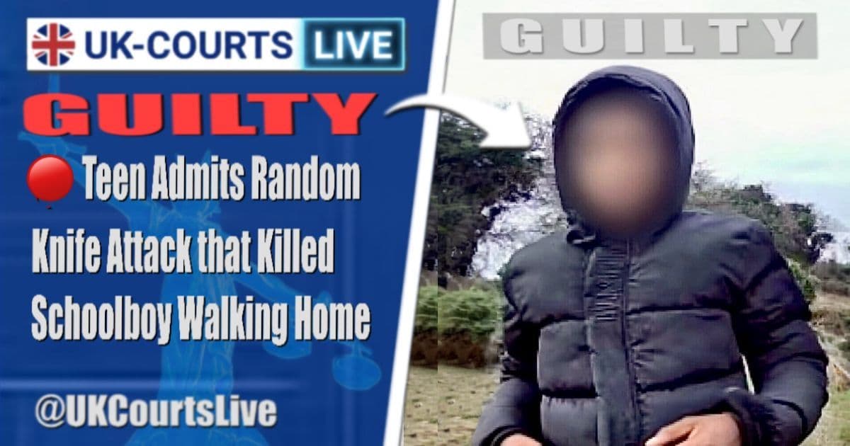 Professional Video Production News thumbnail featuring 15 year old murderer