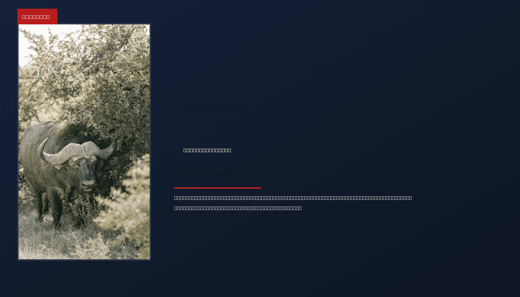 POLITICS: Priti Patel PERSISTS WITH IMMIGRATION REFORMS DESPITE CONSERVATIVE SETBACK — VPNews